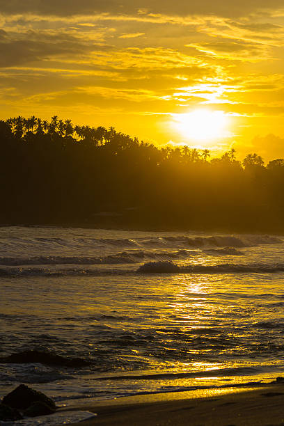 istock Golden sky at sunset on desert tropical beach 484309554