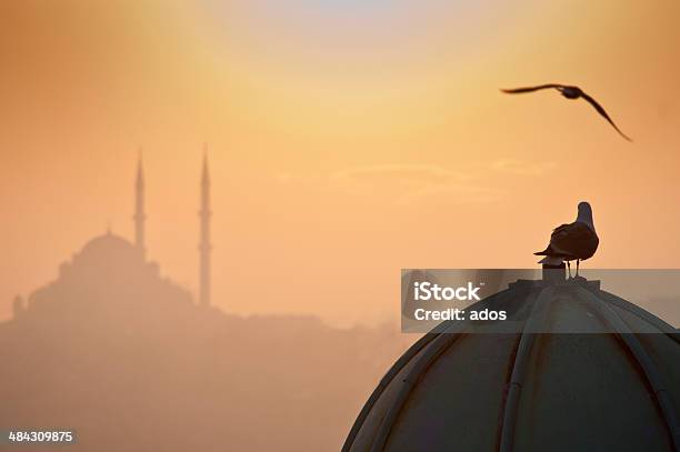 Istanbul E Libertà - Fotografie stock e altre immagini di Arabesco - Stili - Arabesco - Stili, Architettura, Asia