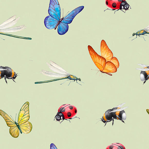 Seamless pattern with watercolor insects illustrations vector art illustration