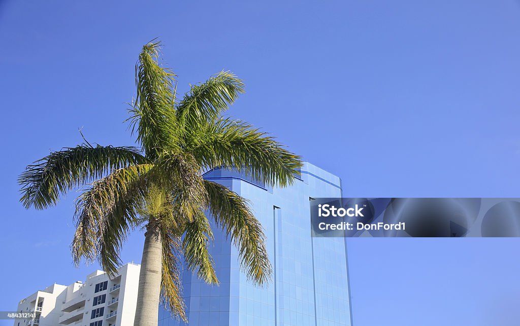 Sarasota Tower, Sarasota, Florida The Sarasota Tower, an iconic, glass fronted building, on the waterfront of Sarasota, Florida.  A royal palm frames the building. Architecture Stock Photo