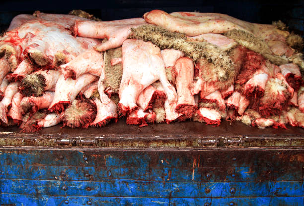 Animal Hide In Butcher Shop Stock Photo - Download Image Now - Pate,  Salami, Backgrounds - iStock