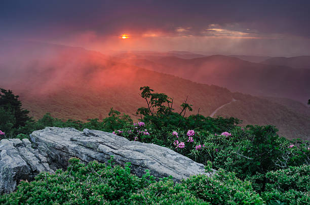 istock Pink Sunset Through Fog on Jane Bald Horizontal 484320720