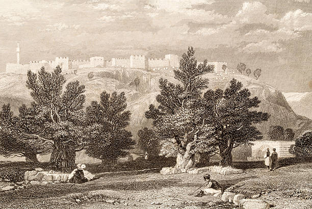 pohon zaitun di gethsemane, ilustrasi abad 19 - getsemani ilustrasi stok