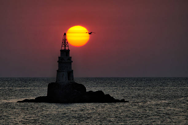 istock Lighthouse near Ahtopol, Bulgaria. Flying bird 484324076