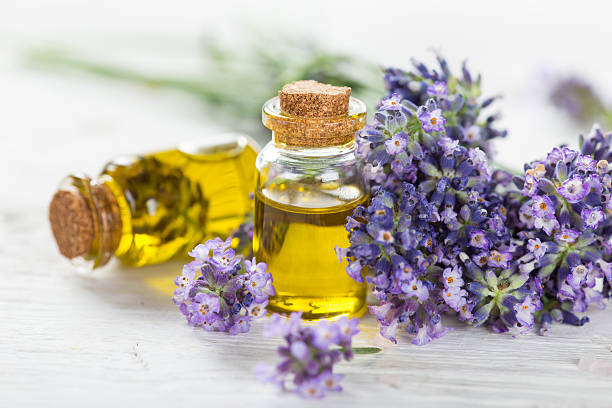 istock Lavender flowers with essential oil. Spa and wellness concept. 484324116