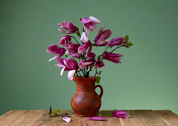 istock Magnolia in a ceramic vase and books 484326301