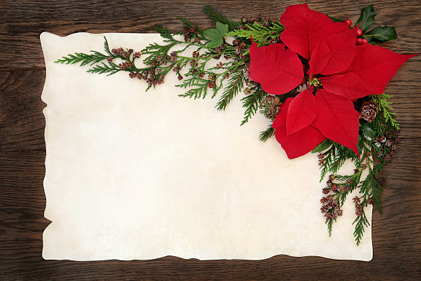 istock Poinsettia Flower Border 484328274