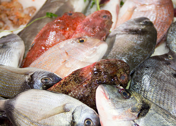 istock Mixed fish for sale on a market 484328773