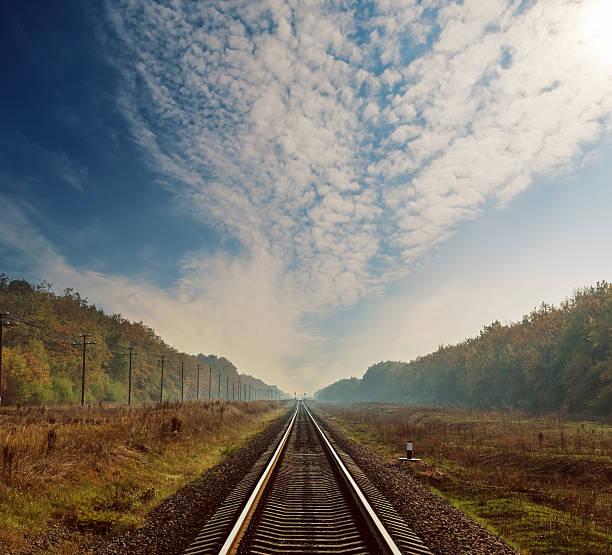 railway to horizon in forest on autumn under clouds in dramatic sky