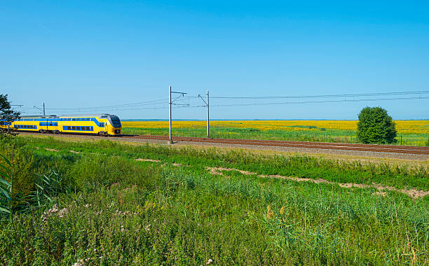 istock Train driving through a colorful landscape in summer 484335158