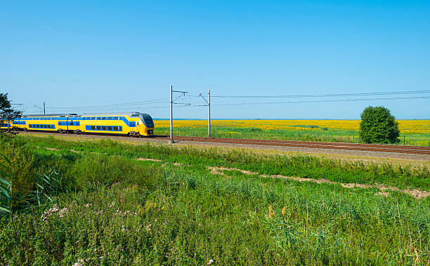 istock Train driving through a colorful landscape in summer 484335164