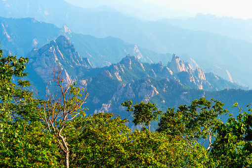 Zhangjiajie Forest National Park in Hunan, China.