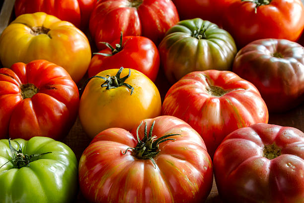 istock Assortment of Fresh Heirloom Tomatoes 484336454