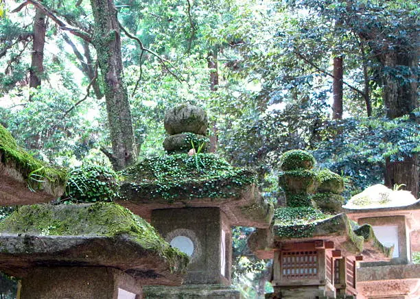 Stone lanterns on the Okunoin Cemetery path in Koyasan,Wakayama Prefecture, Japan. Photographed in May, 2015.