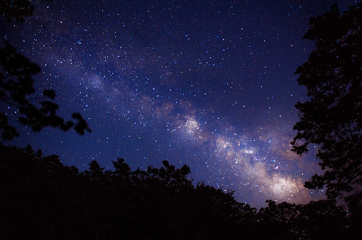 Milky Way and star with some trees in Seoraksan park in Korea.