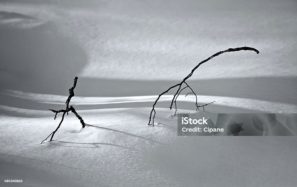 Folgen Sie mir - Lizenzfrei Eingefroren Stock-Foto