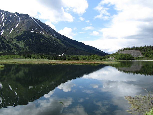 istock Kenai Fjords National Park 484341405