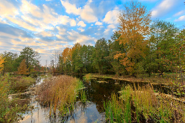 istock Autumn scene on lake 484342325