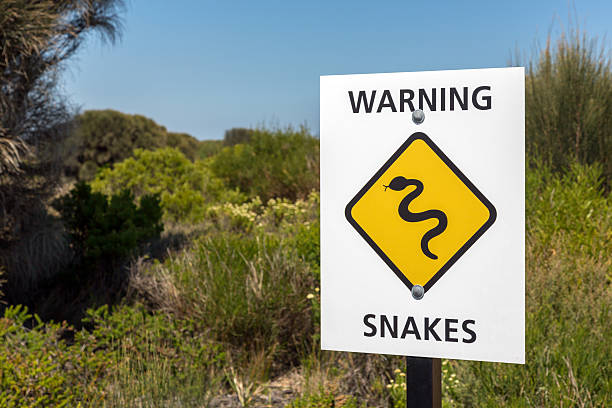 istock Snake Warning Sign in Australia 484343675