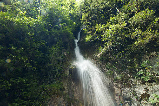 водопад в горы - waterfall river stream mountain стоковые фото и изображения