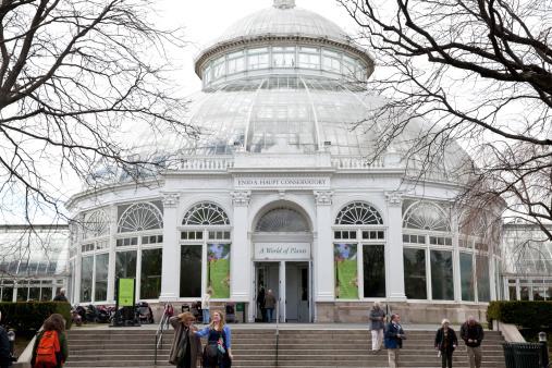 New York City, USA - April 5th, 2014: The Orchid show in Enid A. Haupt Conservatory at New York Botanical Garden.