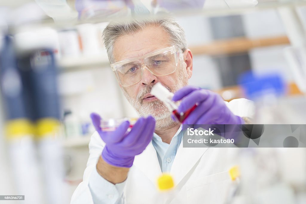Life scientist researching in the laboratory. Life scientist researching in laboratory. Life sciences comprise fields of science that involve the scientific study of living organisms: microorganism, plant, animal and human cells, genes, DNA... Adult Stock Photo