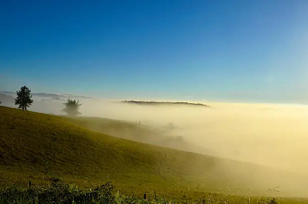 Autumn morning in a farm, with mist.