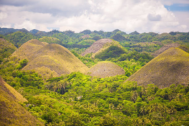 istock Green and yellow unusual Chocolate Hills in Bohol, Philippines 484348401