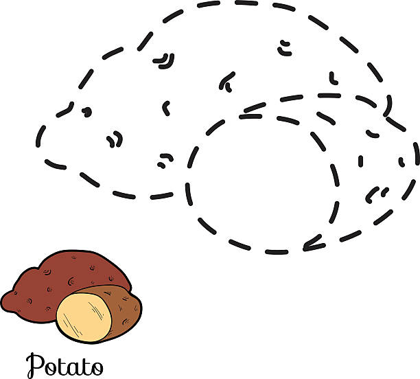 ilustraciones, imágenes clip art, dibujos animados e iconos de stock de juntar los puntos: frutas y verduras (papas - red potato raw potato market red