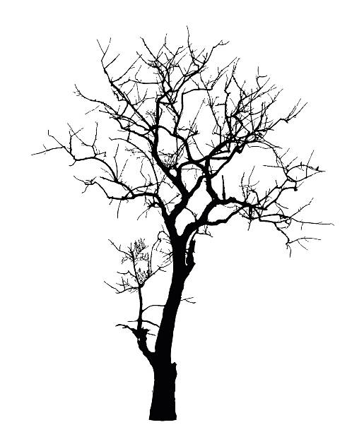 Dead Tree without Leaves : Vector vector art illustration