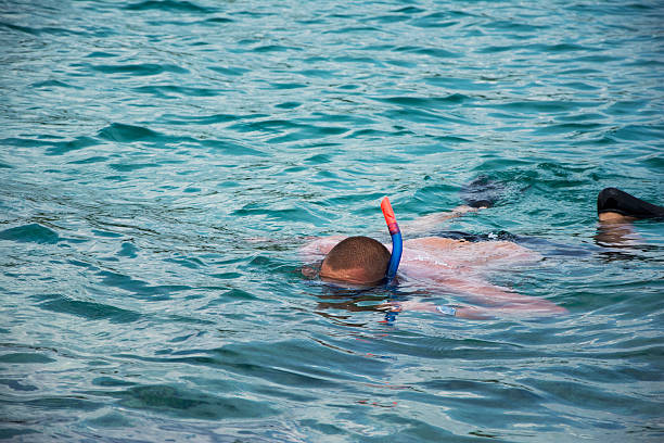 istock Man snorkeling in clean waters 484366856