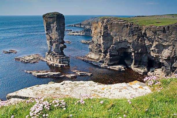 the castle of yesnaby, оркнейские, шотландия - stack rock стоковые фото и изображения