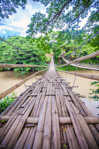 istock Hinged bridge over the River Loboc in Bohol, Philippines 484373951