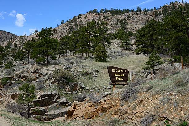 roosevelt national forest - theodore roosevelt zdjęcia i obrazy z banku zdjęć