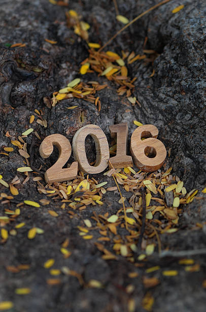 istock Happy New Year 2016 in the garden 484374594