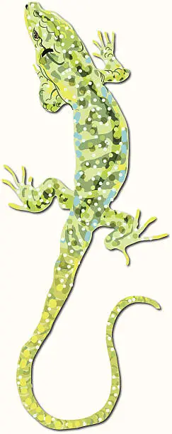 Vector illustration of Ocellated lizard