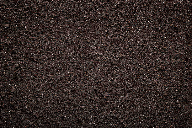 fondo de textura de suelo - dirt fotografías e imágenes de stock