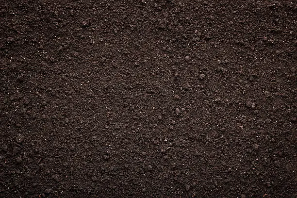 Soil texture background