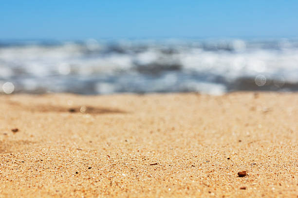 istock beach and tropical sea 484376755