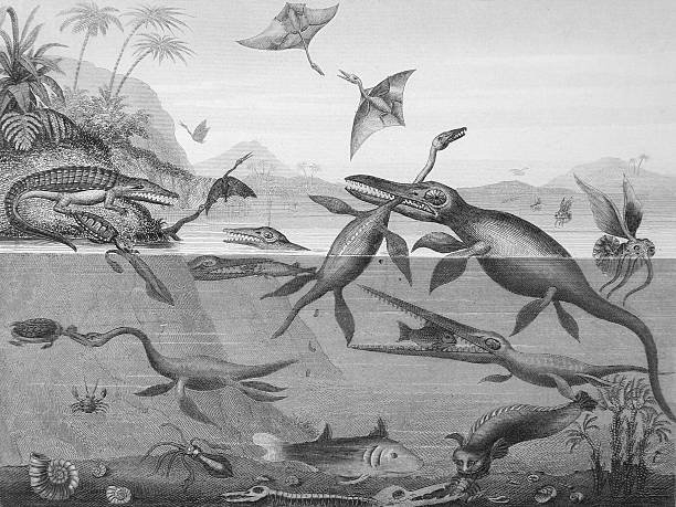 Antique Engraving of Prehistoric Animals, 1844 stock photo