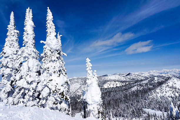 istock Winter Landscape in Whitefish, Montana 484377845
