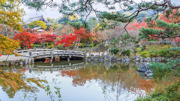 istock Maruyama Park in Kyoto 484378233