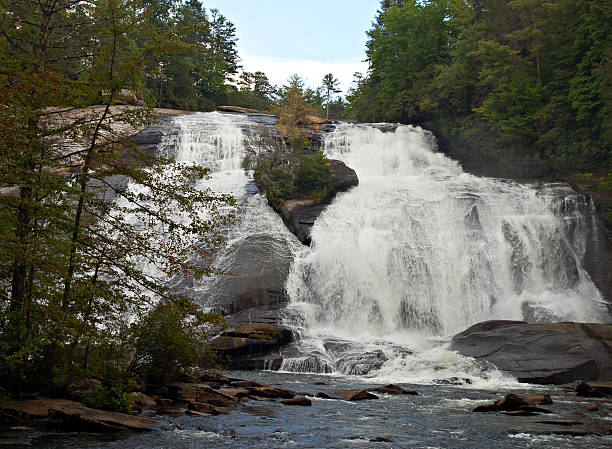 ハイフォールズデュポントで、ノースカロライナ州有林 - dupont state forest ストックフォトと画像