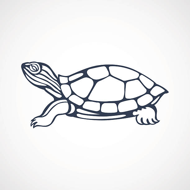 turtle logo vector art illustration