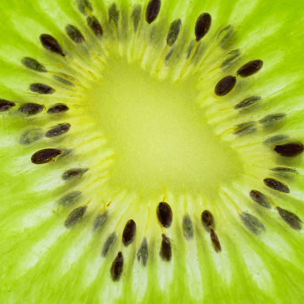 istock close up of a kiwi fruit 484386144