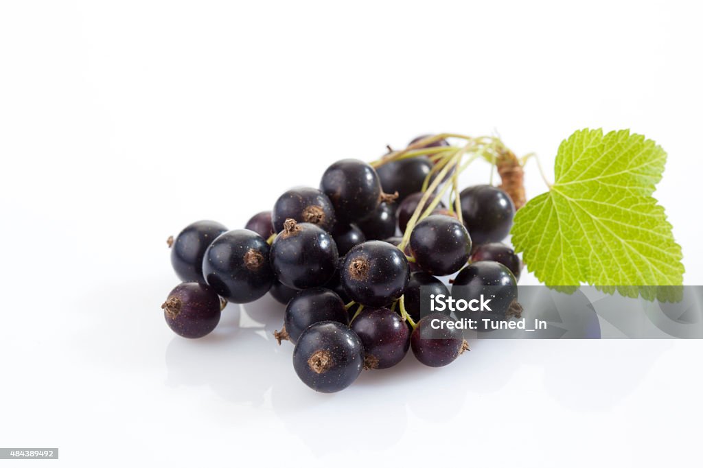 Black currants, white background 2015 Stock Photo