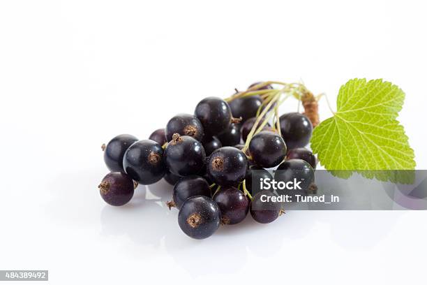 Black Currants White Background Stock Photo - Download Image Now - 2015, Berry Fruit, Black Color