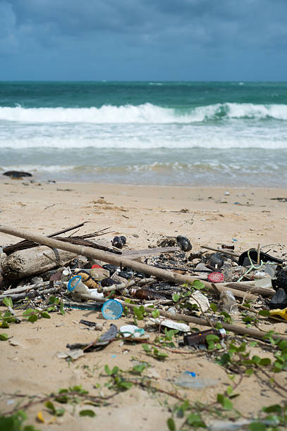 Dirty beach stock photo