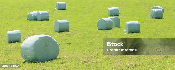 Bales Of Silage Wrapped In Plastic At The Green Field Stock Photo - Download Image Now