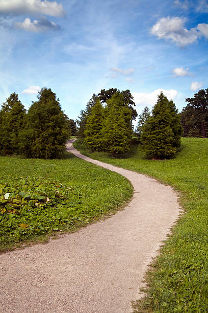 sandweg w einem park - sandweg zdjęcia i obrazy z banku zdjęć